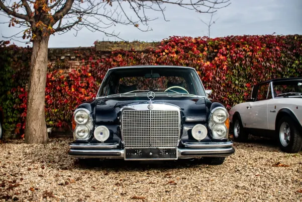 BlueChip Casino Android/iOS App